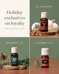 Holiday Exclusives on Loyalty