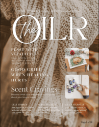 November 2025 Newsletter