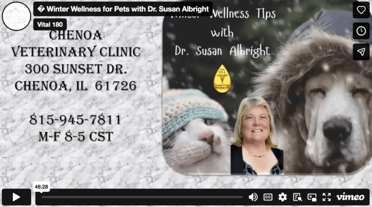 Winter Wellness for Pets