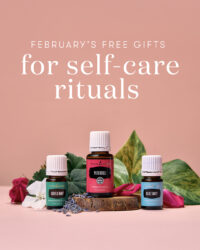 February Promo