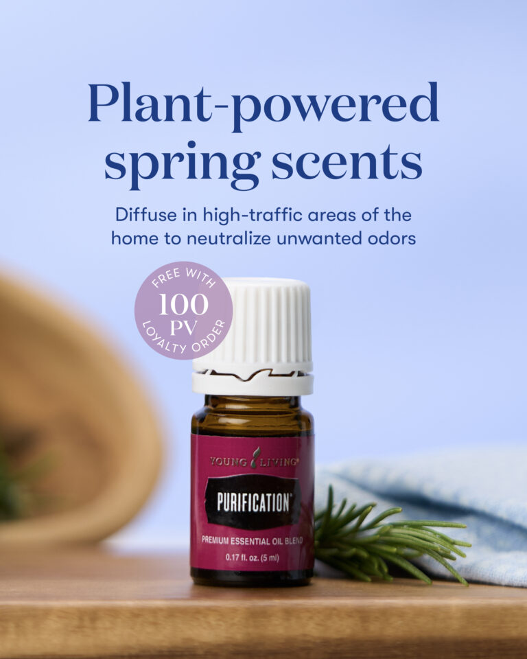 Purification Essential Oil