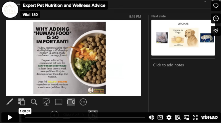 Expert Pet Nutrition and Wellness Advice