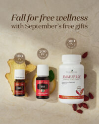 September Gifts with Purchase